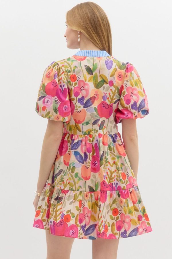 Entro-D26037 - Image 3